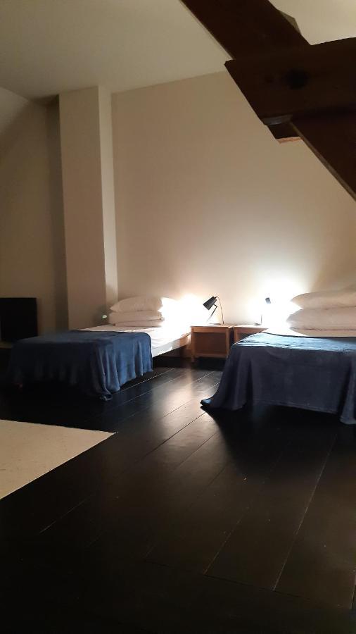 Le Loft Villa Sancergues Bagian luar foto